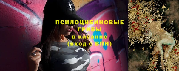 крисы Анива