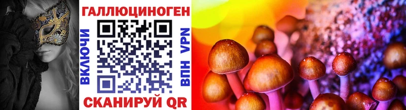 Галлюциногенные грибы Psilocybe  Покров 