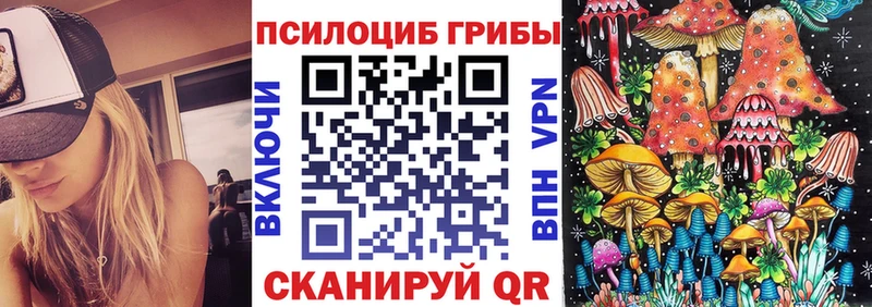 Галлюциногенные грибы Psilocybe Покров